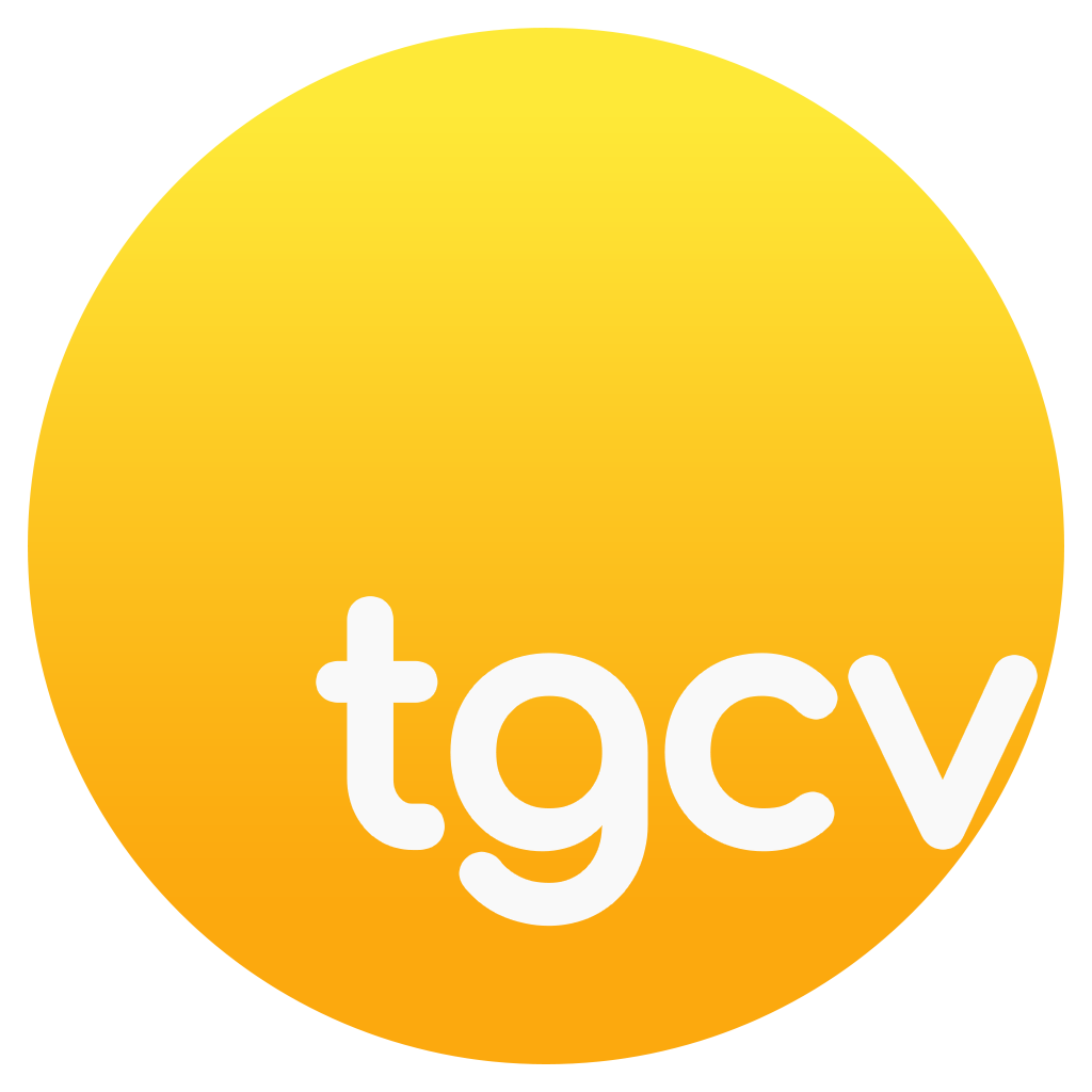 that guy called vlad logo